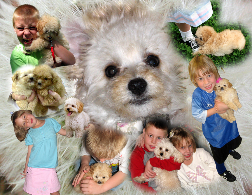 gal/1999 - 2013 Calendars/200703_mar.jpg